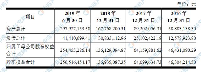 最新财务报表揭示企业经济实力的核心数据概览