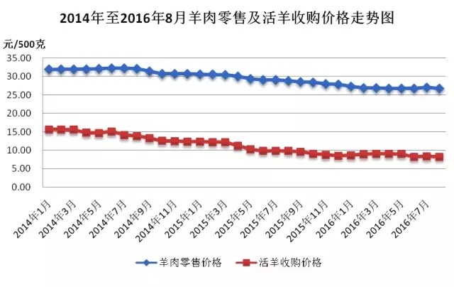 最新活羊价格走势解析及预测报告