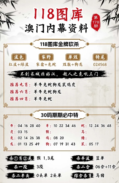 新澳门王中王100%期期中,绝对经典解释落实_尊享款18.894