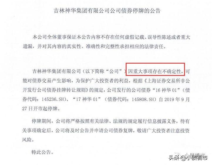 中国神华最新公告深度解读与解析