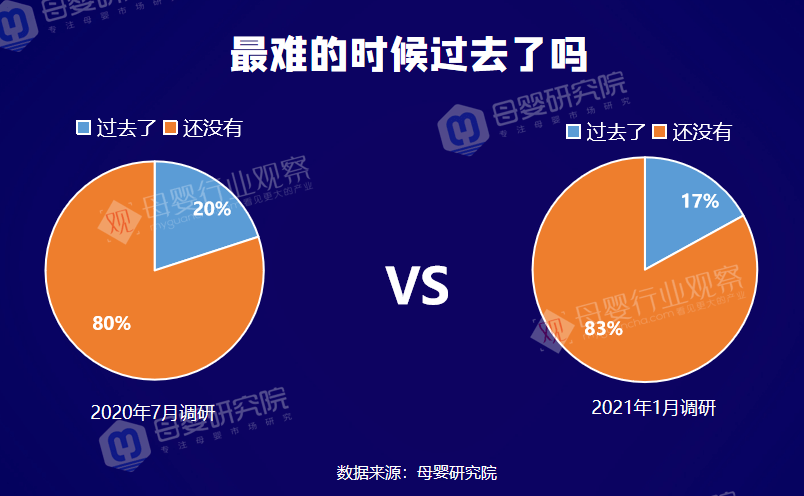 最新芝童深度分析，多维角色塑造与内涵探寻