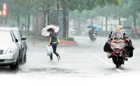 暴雨后的在线世界，自然与科技交织之美