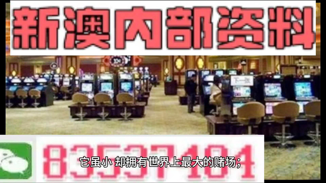 2024澳门正版精准免费｜决策资料解释落实