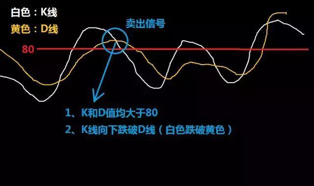 澳门正版资料大全资料生肖卡｜实用技巧与详细解析