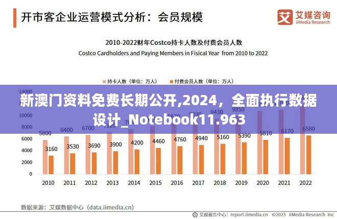 2024年澳门正版免费,数据分析驱动解析_探索版79.619