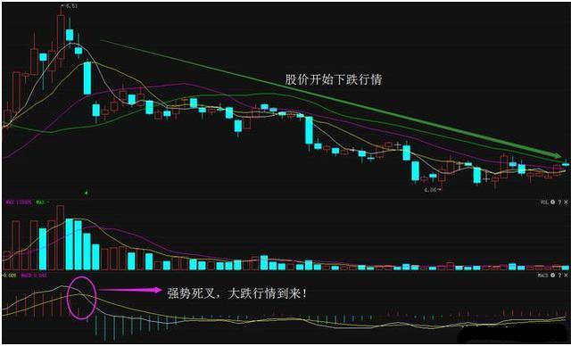 最准一肖100%准确使用方法,适用性执行方案_豪华款75.411