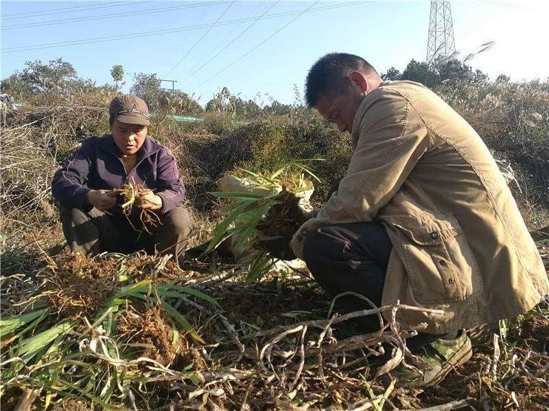 〃把爱葬在阿尔卑斯山ヾ