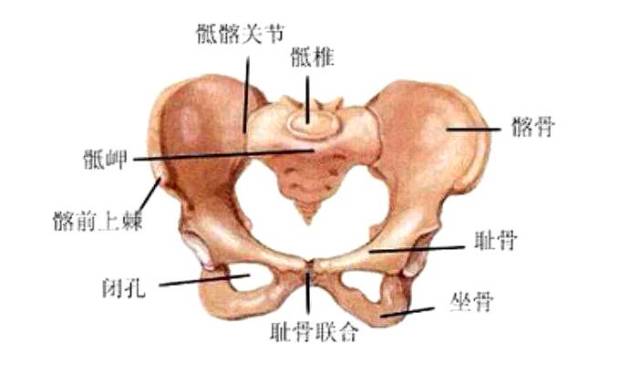 你不曾知道你就是我的阳光