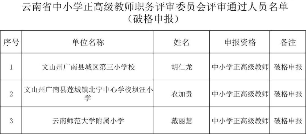 保山最新人事任免公示，权威发布人事调整动态