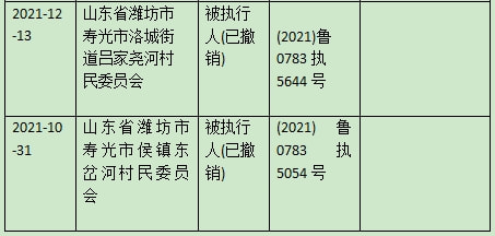 寿光最新老赖名单公布，警示失信行为曝光