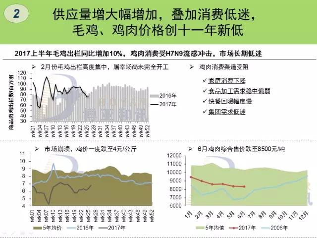 芝华最新蛋鸡存栏趋势分析报告