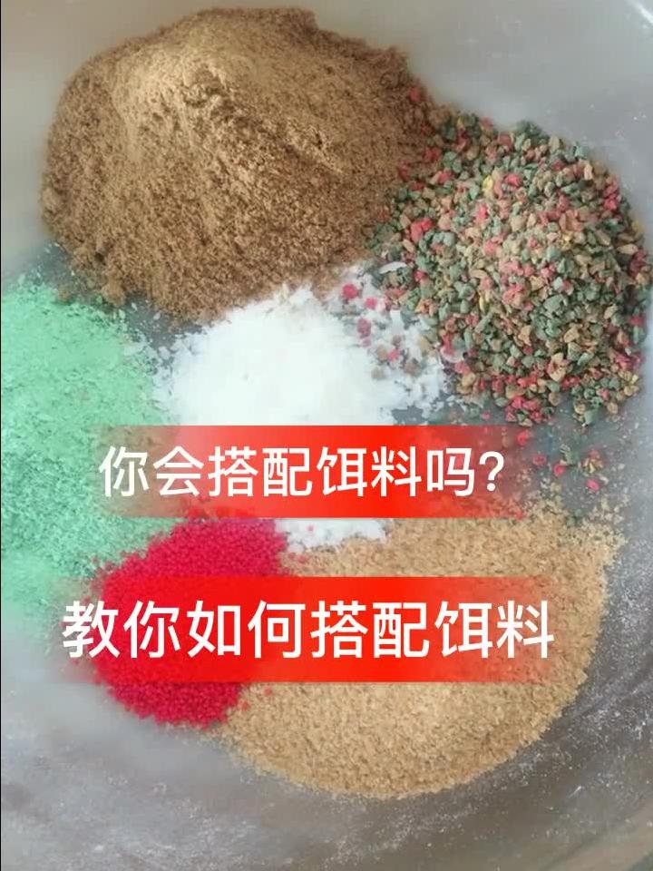 最新黑坑鲤鱼饵料配方研究揭秘与应用